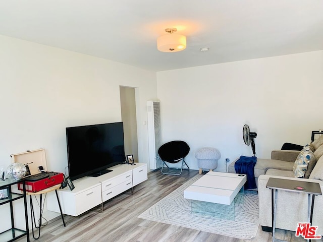 living room with hardwood / wood-style floors