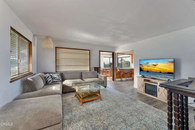 living room featuring wood-type flooring