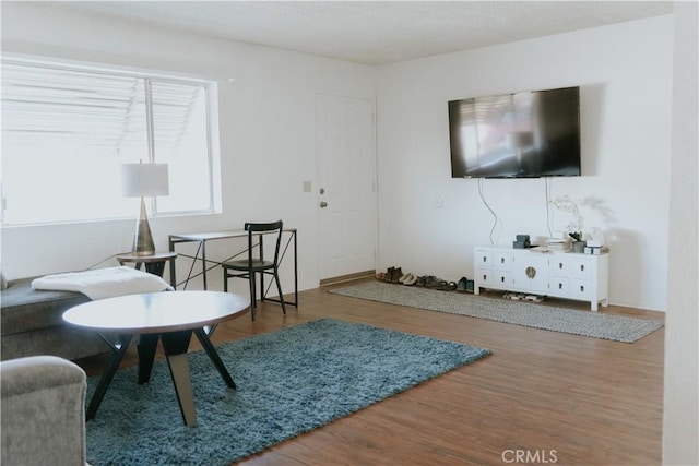 living area with wood finished floors