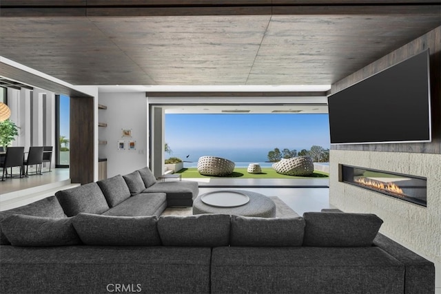 living room featuring wood-type flooring