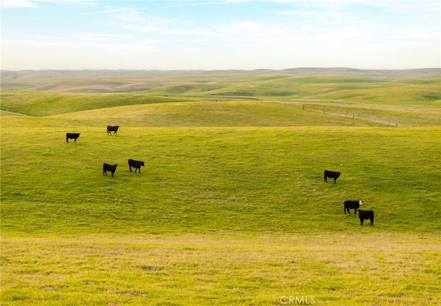 view of community featuring a rural view