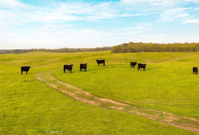 surrounding community with a lawn and a rural view