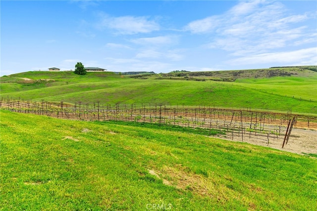 view of yard featuring a rural view