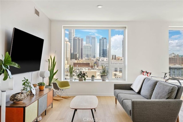 living room with light hardwood / wood-style floors