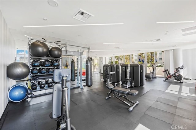 exercise room with floor to ceiling windows