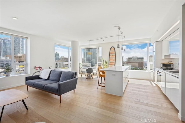 living room with light wood-type flooring