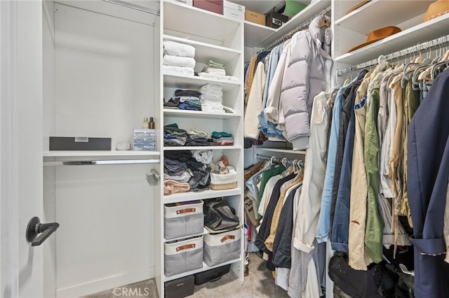 spacious closet with carpet