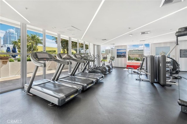 exercise room featuring floor to ceiling windows