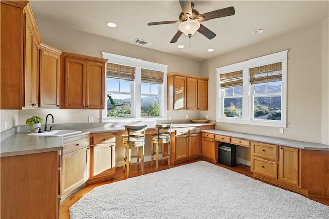 kitchen featuring ceiling fan, light hardwood / wood-style floors, and sink