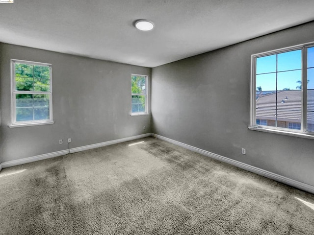 unfurnished room with carpet