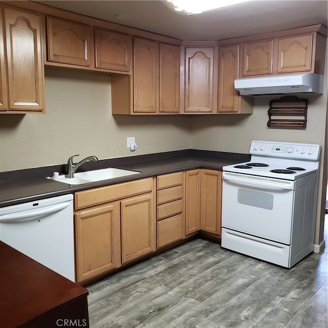 kitchen featuring light hardwood / wood-style flooring, sink, and white appliances