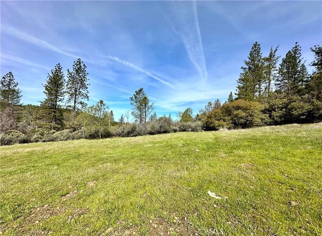 Listing photo 3 for 0 Eddy Ct, Oroville CA 95966