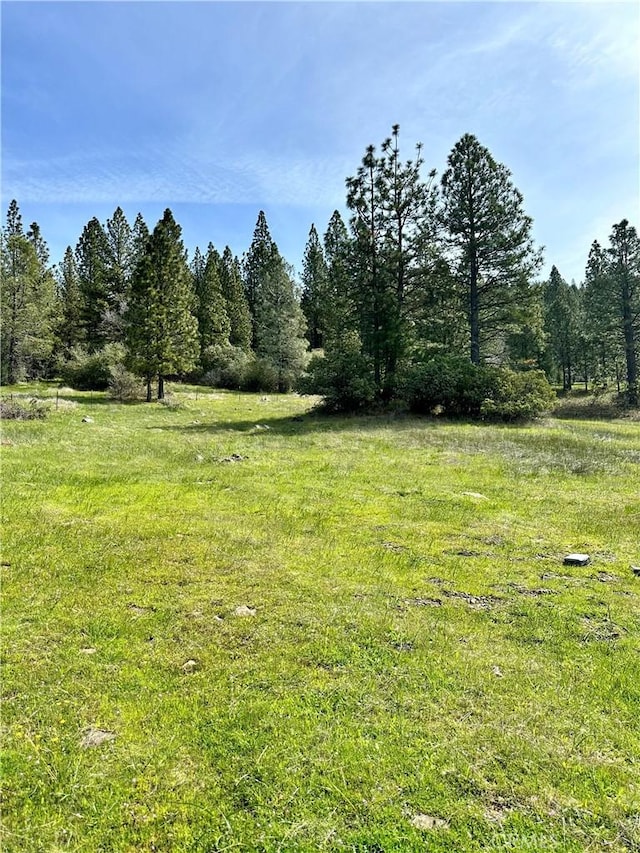 0 Eddy Ct, Oroville CA, 95966 land for sale