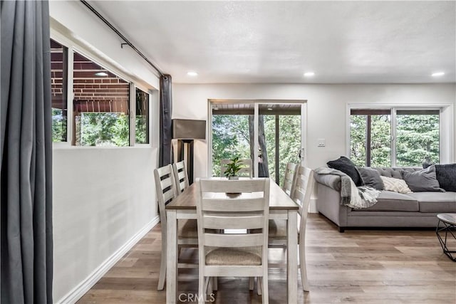 dining area with plenty of natural light and light hardwood / wood-style floors