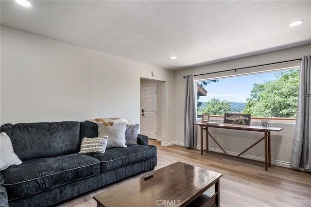 living room with light hardwood / wood-style flooring