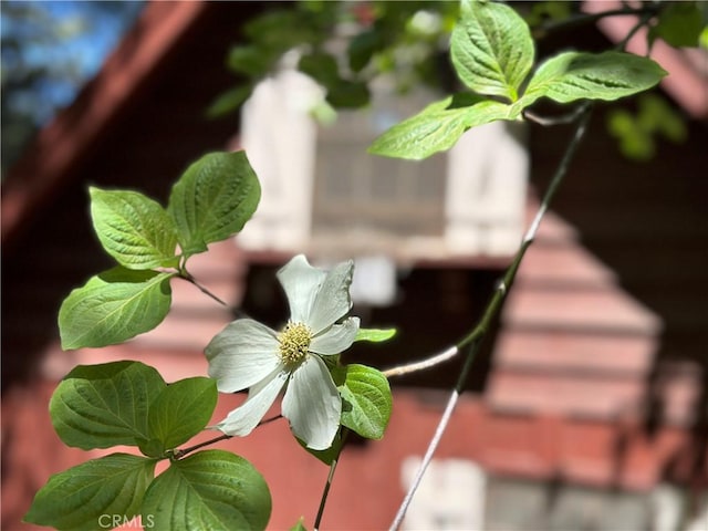 view of exterior details