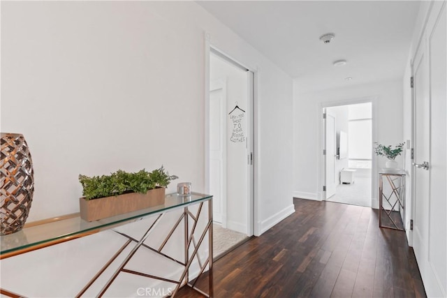 hallway with dark wood-type flooring