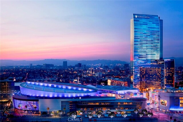 900 W Olympic Blvd Unit 42A, Los Angeles, CA 90015 - city view