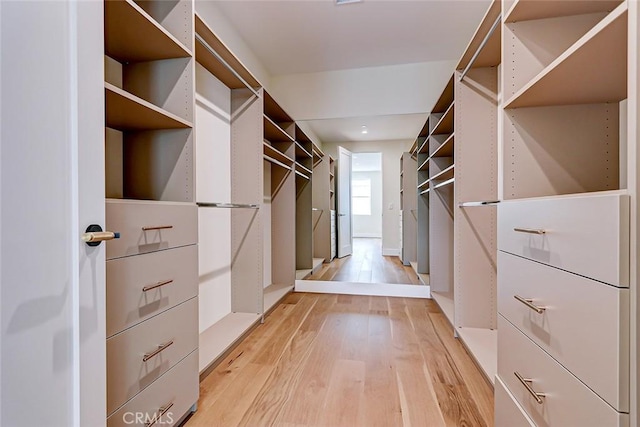 spacious closet featuring light hardwood / wood-style floors