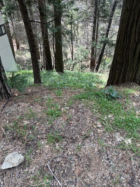 Listing photo 3 for 0 Arbula Dr, Crestline CA 92325