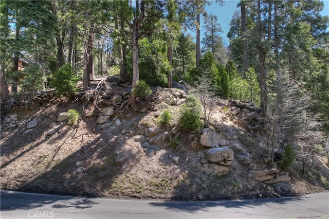 Listing photo 3 for 0 State Highway 173, Lake Arrowhead CA 92352