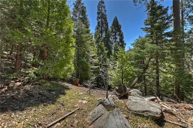 0 State Highway 173, Lake Arrowhead CA, 92352 land for sale