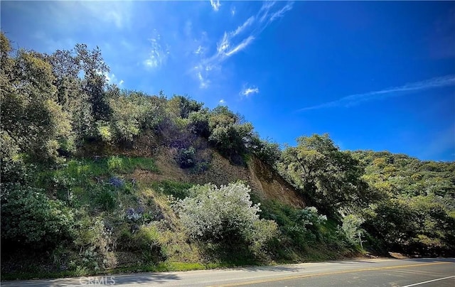 Listing photo 2 for 0 Old Topanga Canyon Rd, Calabasas CA 90290