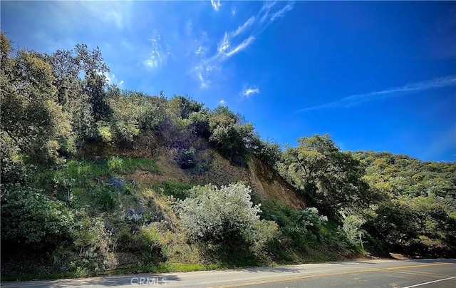 0 Old Topanga Canyon Rd, Calabasas, CA 90290 - photo 2