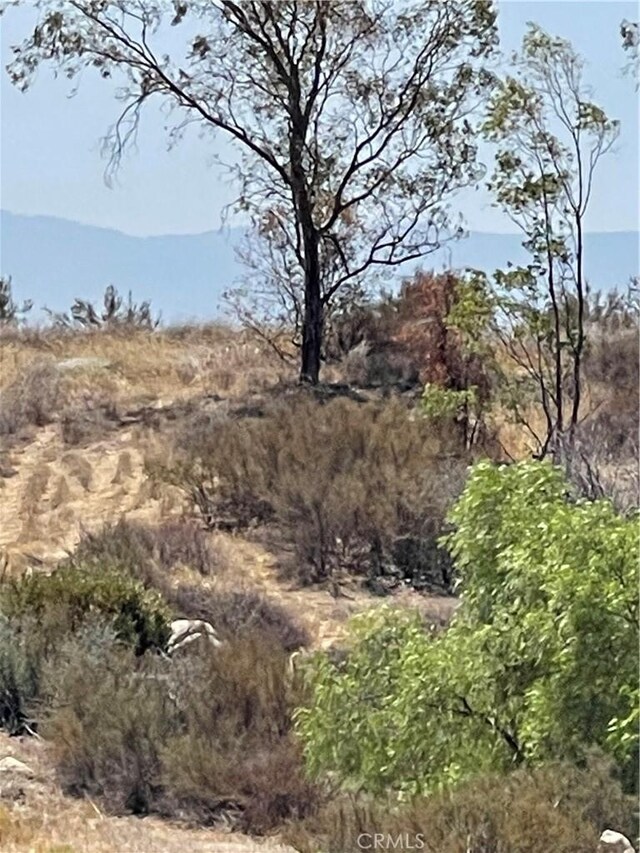 35575 Clothier Rd, Hemet, CA 92544 - photo 20