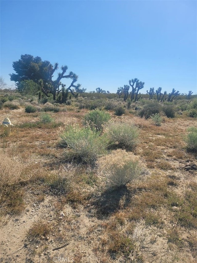 0 Buena Vista Rd, Pinon Hills CA, 92372 land for sale