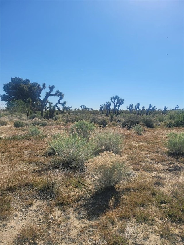 Listing photo 3 for 0 Buena Vista Rd, Pinon Hills CA 92372