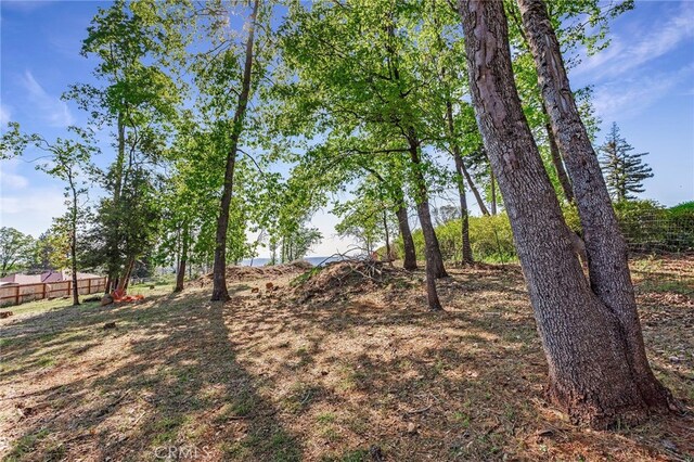 6050 Terra Vis, Paradise, CA 95969 - photo 21