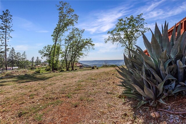 6050 Terra Vis, Paradise, CA 95969 - photo 26
