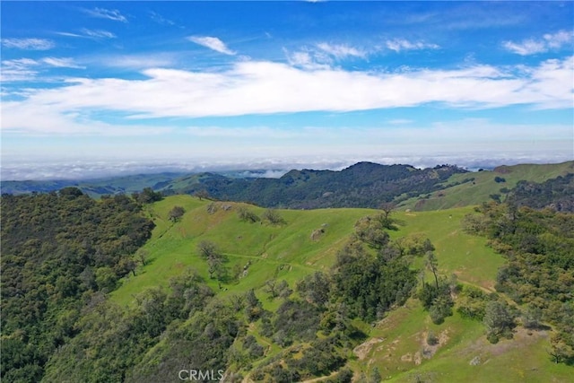 0 Cypress Mountain Dr, Templeton, CA 93465 - photo 30