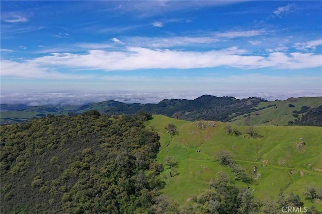 0 Cypress Mountain Dr, Templeton, CA 93465 - photo 13