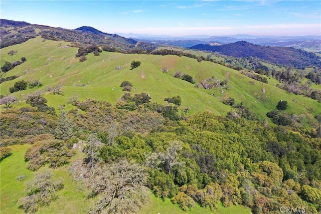 0 Cypress Mountain Dr, Templeton, CA 93465 - photo 25