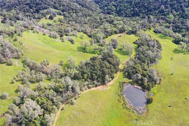 0 Cypress Mountain Dr, Templeton, CA 93465 - photo 19