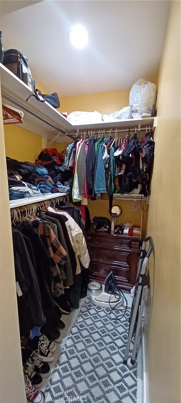 spacious closet featuring carpet