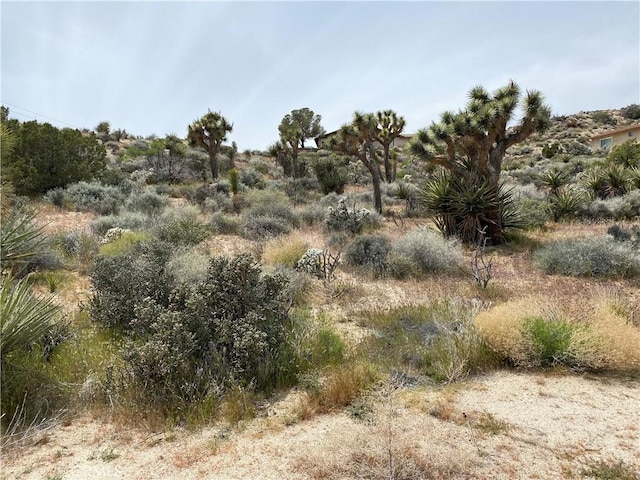 Listing photo 3 for 0 Farrelo Rd, Yucca Valley CA 92284