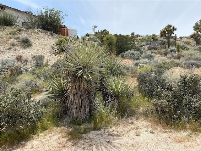 Listing photo 2 for 0 Farrelo Rd, Yucca Valley CA 92284