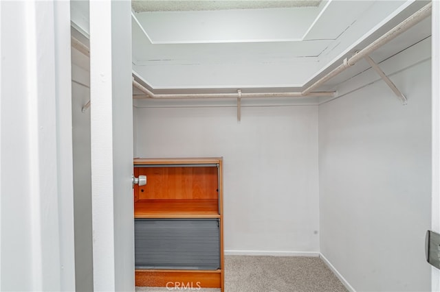 spacious closet featuring carpet flooring