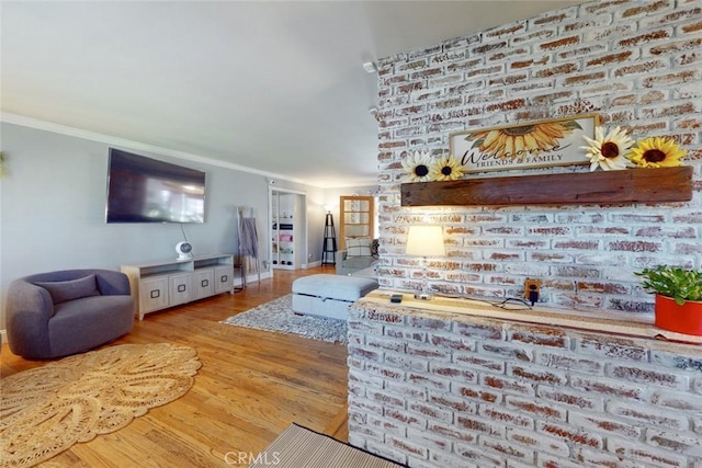 living room featuring crown molding and light hardwood / wood-style flooring