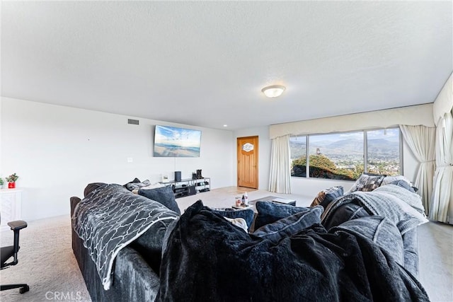 carpeted living room featuring a textured ceiling