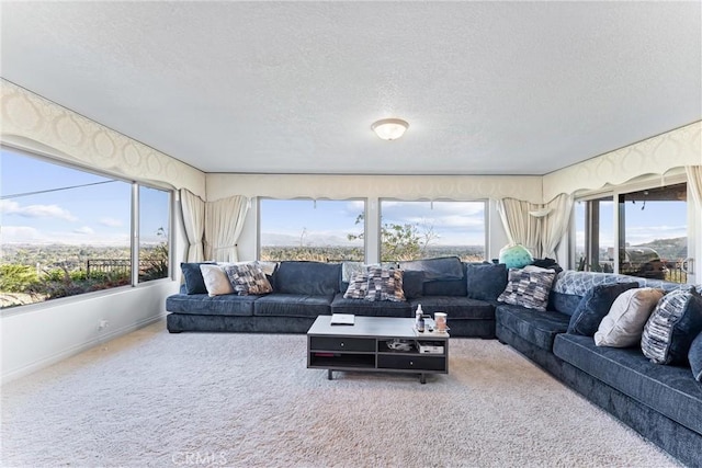 living room with carpet floors and a textured ceiling