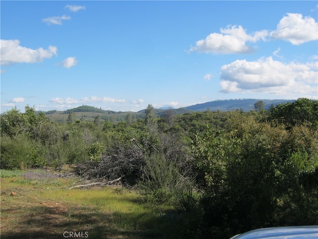 9070 S State Highway 29, Lower Lake CA, 95457 land for sale