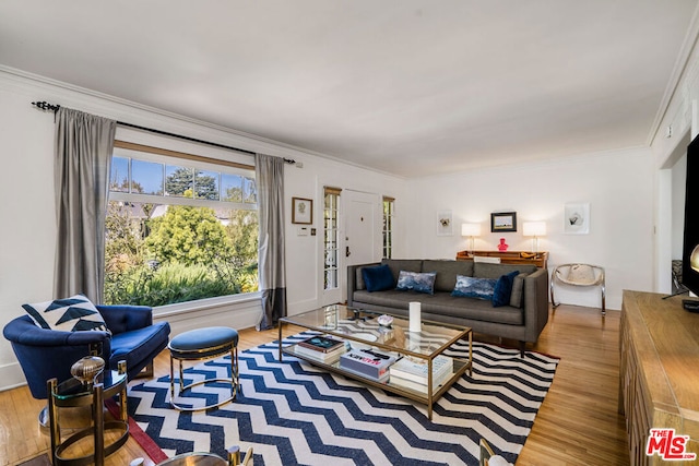 living room featuring light hardwood / wood-style floors and ornamental molding