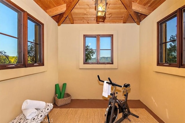 2835 Hermitage Rd, Ojai, CA 93023 - exercise room with wooden ceiling and vaulted ceiling