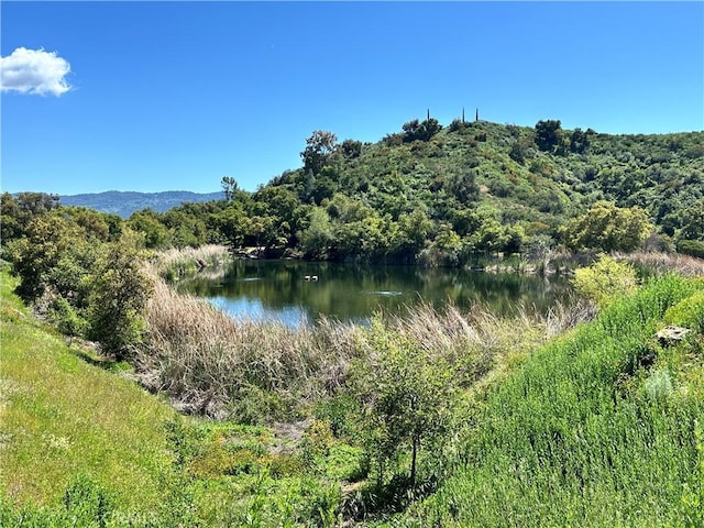 2835 Hermitage Rd, Ojai, CA 93023 - water view featuring a view of trees