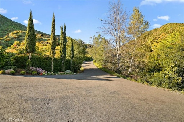 view of road with a mountain view