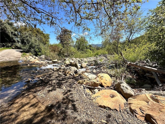 view of local wilderness